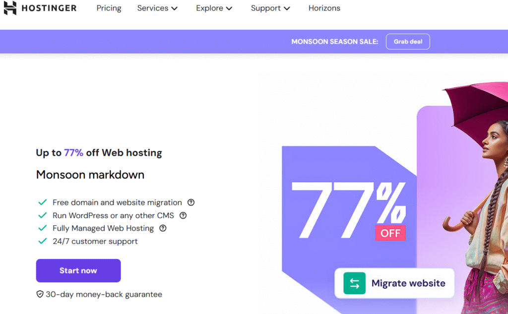 Hostinger Web hosting from Hostinger for website development